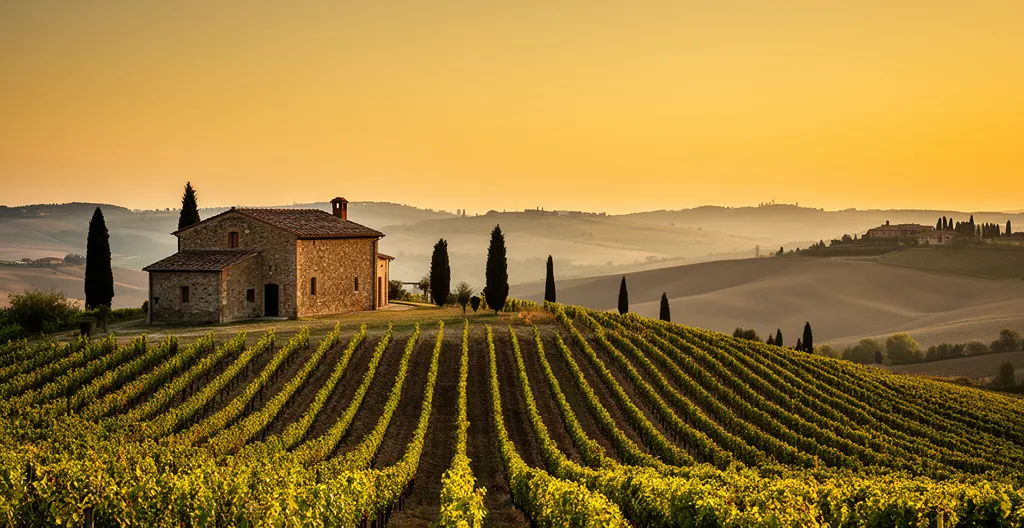 Vista panoramica di una cantina tradizionale nel Chianti durante l'ora dorata del tramonto