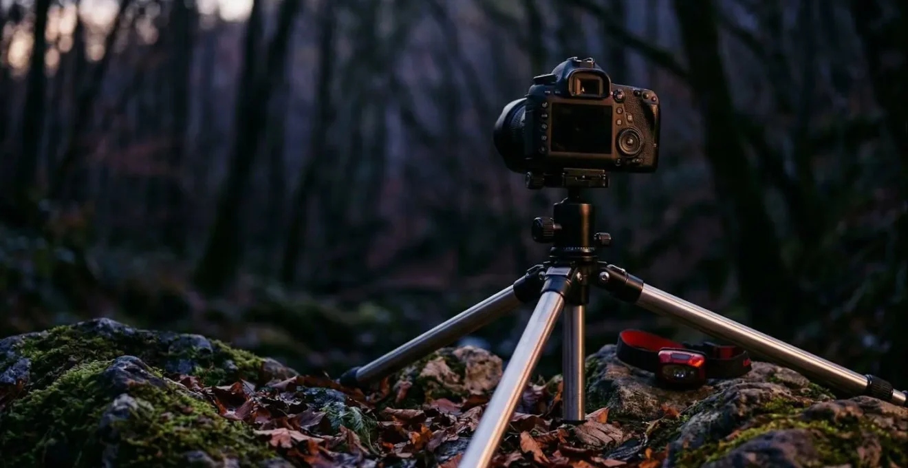Attrezzatura fotografica su treppiede pronta per l'osservazione notturna rispettosa, senza uso del flash.